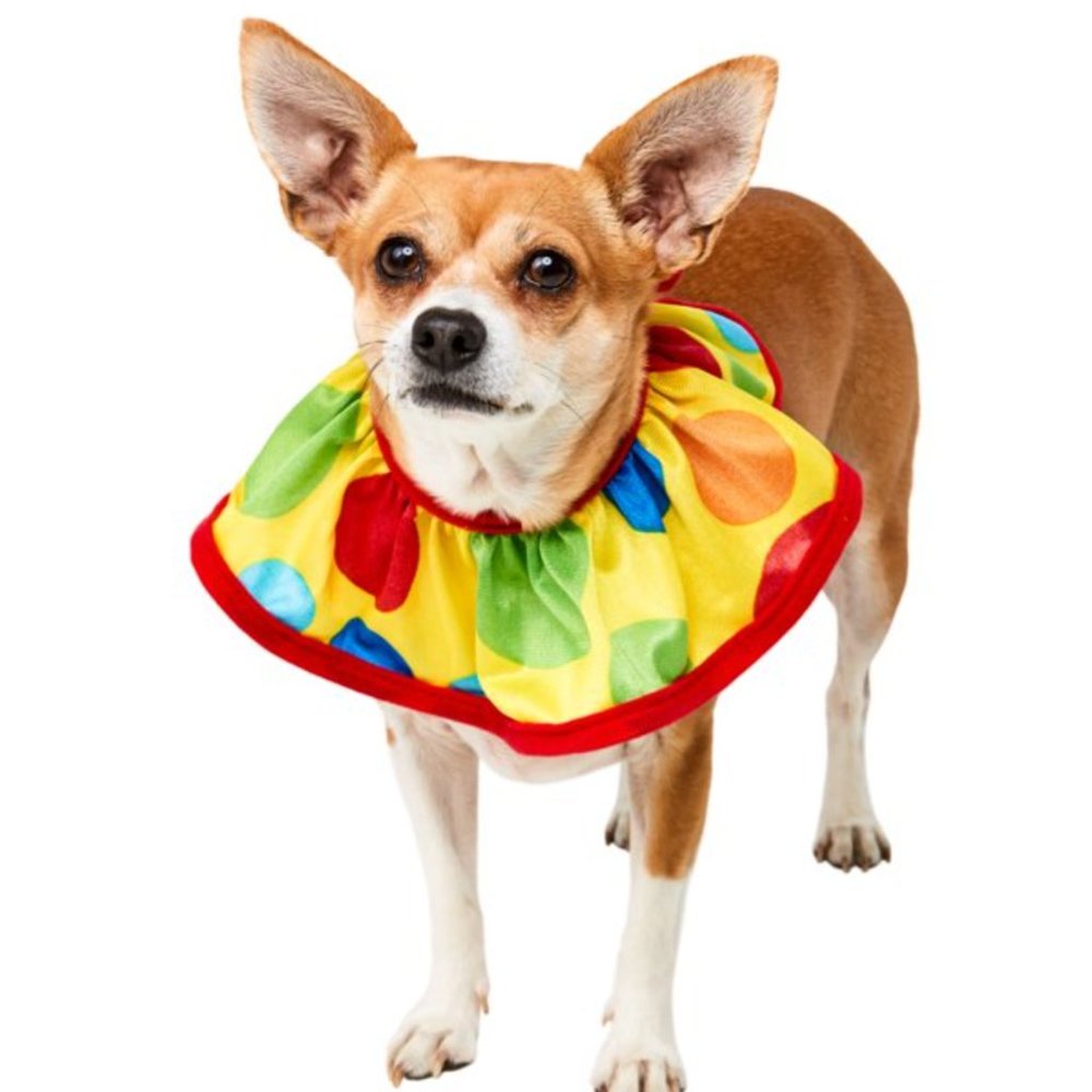 NWT Clown Collar For Cats Or Dogs